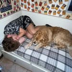 ₍^. .^₎⟆ - @thomas.lampu - Instagram