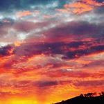 Thomas Laney - @laney_704 - Instagram