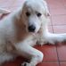 Thomas Lanzi - Facebook