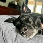 Thomas L - @thomaslarkin - Instagram