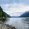 Thomas Larkin - @thomaslarkin3492 - TikTok