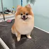 Thomas Larry - @thomas_larry0 - TikTok