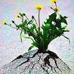 Thomas_laszlo - @thomas_laszlo - Instagram