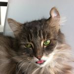 Thomas Lassen - @thomas_lassen - Instagram