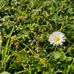Thomas Laster - Facebook