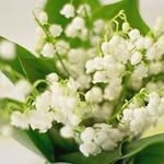 Thomas Laufersweiler - @laufersweilerthomas - Instagram