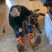 Thomas Lavallee - Facebook