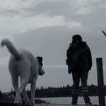 Walter Thomas Lavallee - @walterthomaslavallee - Instagram