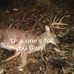 Thomas Laviolette - Facebook