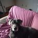 Thomas Laviolette - Facebook