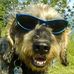 Thomas Layer - Facebook