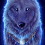 Thomas Layer - @thomas.layer.3 - Instagram