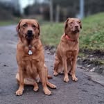 Thomas Layer - @thomaslayer1 - Instagram