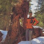 Thomas Lazzeri - @thomaslazzeri - Instagram