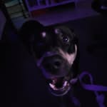 Thomas Ledet - @slooshinaround - Instagram