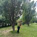Thomas Ledet - Facebook