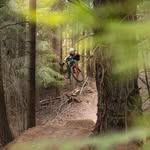 Thomas Lee - @tomleethebiker_09 - Instagram