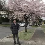 Thomas Lee - Facebook