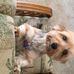 Thomas Leftridge - Facebook