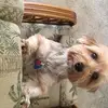 Thomas Leftridge - @user220636659 - TikTok