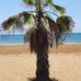 Thomas Leis - Facebook
