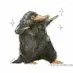 kleiser_thomas - @kleiser_thomas - TikTok