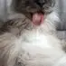 thomasleiser - @thomasleiser - TikTok
