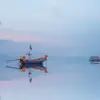 leishmanthomas - @novanudge173 - TikTok