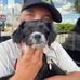 Thomas Lushman - Facebook