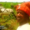 thomaslemintila - @thomaslemintila - TikTok