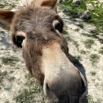 Thomas Lemmert - @lemmertthomas - Instagram