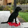 thomasleppert300 - @thomasleppert300 - TikTok