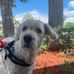 Thomas Lee Lerma - Facebook