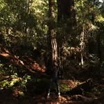 tomás lerner - @_tomas.lerner_ - Instagram