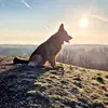 Thomas Leuschner - @thomas.leuschner6 - TikTok