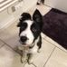 Thomas Levan - Facebook