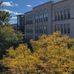 Thomas P. Levan Center - Facebook