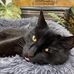 Thomas Levine - Facebook