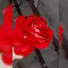 ThomasLevine - @anabewep51n - TikTok