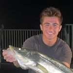 Thomas Levitt - @t_levitt1 - Instagram