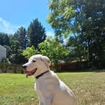 William Thomas Lewellen - @tommylewellen - Instagram