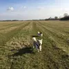 Thomas Lichtner332 - @thomaslichtner332 - TikTok
