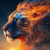 Thomas Limmer - Facebook