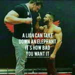 Thomas Linde du Plooy - @tango267 - Instagram