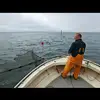 Thomas Lindström649 - @thomas.lind4 - TikTok