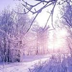 Thomas Linke - @thomas.linke.3781 - Instagram
