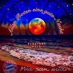 Thomas Linke - @thomaslinke180 - Instagram