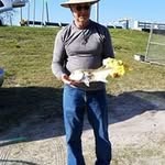 Thomas Linscott - @thomas.linscott.56 - Instagram