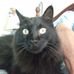 Thomas Linscott - Facebook