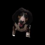 Thomas Lish - @badmeed7 - Instagram